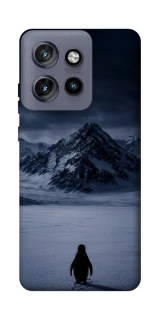 Чехол на Motorola Edge 50 Neo But why? фото 1 из 1