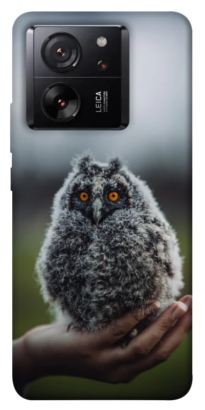 Чехол на Xiaomi 13T Pro Совёнок фото 1 из 1