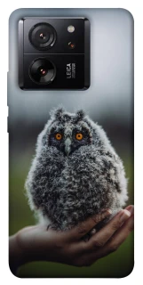 Чехол на Xiaomi 13T Pro Совёнок фото 1 из 1