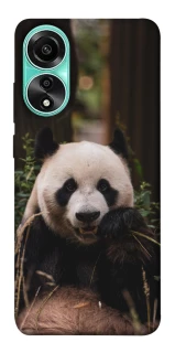Чехол на Oppo A78 4G Панда фото 1 из 1