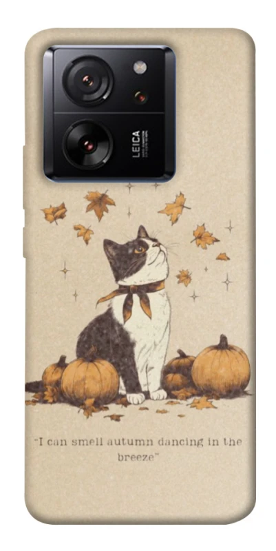 Чохол на Xiaomi 13T Autumn vibes ver.3 фото 1 з 1