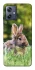 Чохол на Motorola Moto G54 Кролики фото 1 Чохол на Motorola Moto G54 Кролики фото 1 з 1