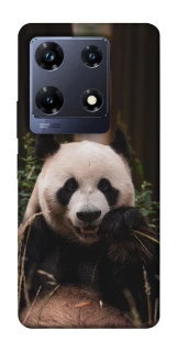 Чехол на Infinix Note 30 Pro Панда фото 1 из 1