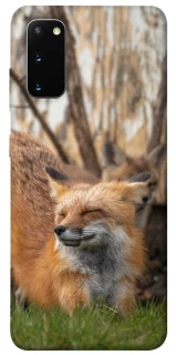 Чехол на Samsung Galaxy S20 Лиса фото 1 из 1