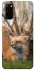 Чехол на Samsung Galaxy S20 Лиса фото 1 из 1