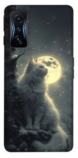 Чехол на Xiaomi Poco F4 GT Кот под луной фото 1 из 1