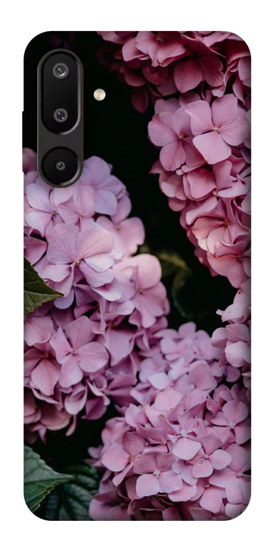 Чохол на Samsung Galaxy M16 5G Рожеві гартензії фото 1 з 1