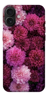 Чохол на Apple iPhone 16 Plus Garden1 фото 1 з 1