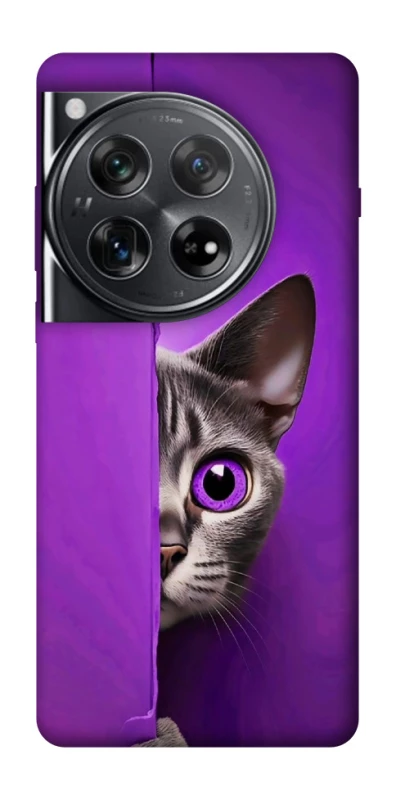 Чохол на OnePlus 12 Кіт-підглядач фото 1 з 1