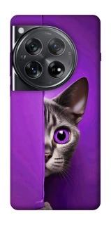 Чохол на OnePlus 12 Кіт-підглядач фото 1 з 1