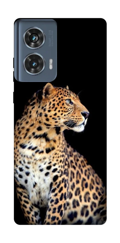 Чохол на Motorola Edge 50 Leopard v2 фото 1 з 1