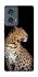 Чохол на Motorola Edge 50 Leopard v2 фото 1 з 1