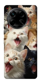Чохол на TECNO Camon 30 (CL6) Коти фото 1 з 1