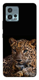 Чохол на Motorola Moto G72 Leopard v4 фото 1 з 1
