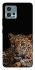 Чохол на Motorola Moto G72 Leopard v4 фото 1 з 1