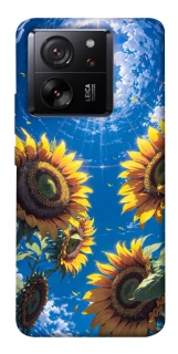 Чохол на Xiaomi 13T Sunflowers фото 1 з 1