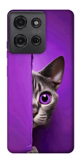 Чехол на Motorola Moto G75 Кот-подглядыватель фото 1 из 1