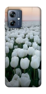 Чехол на Motorola Moto G54 Power Flowers v1 фото 1 Чехол на Motorola Moto G54 Power Flowers v1 фото 1 из 1