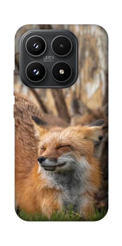 Чехол на Xiaomi 17 Лиса фото 1 из 1
