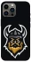 Чохол на Apple iPhone 12 Pro Max (6.7") Viking v2 фото 1 з 1