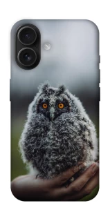 Чехол на Apple iPhone 16 Совёнок фото 1 из 1