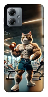 Чохол на Motorola Moto G14 Кіт качок фото 1 з 1