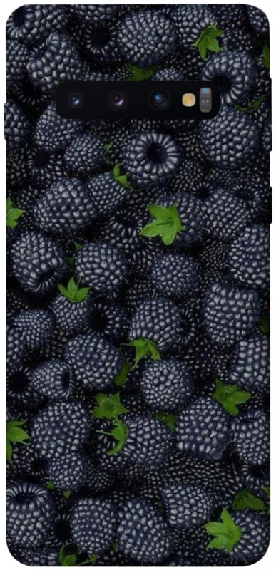 Чохол на Samsung Galaxy S10 Fresh фото 1 з 1