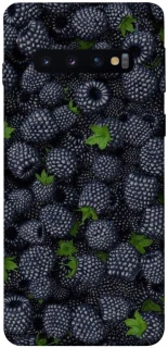 Чохол на Samsung Galaxy S10 Fresh фото 1 з 1