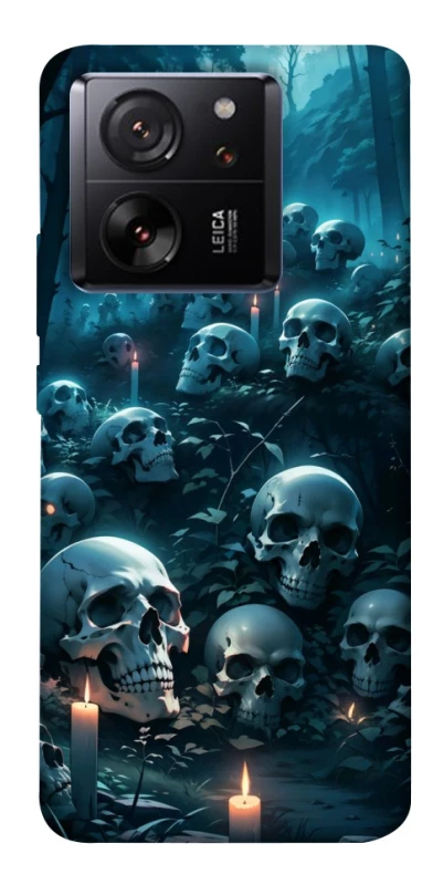 Чехол на Xiaomi 13T Skulls v3 фото 1 из 1