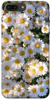 Чохол на Apple iPhone 7 plus / 8 plus Поле ромашок фото 1 з 1
