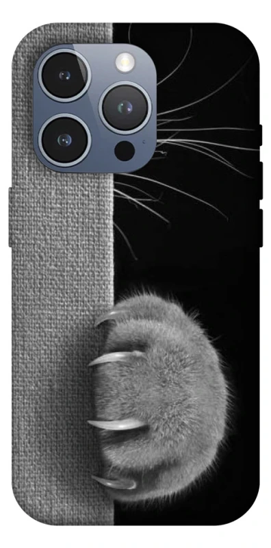 Чохол на Apple iPhone 16 Pro Max Spy Cat фото 1 з 1