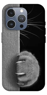 Чехол на Apple iPhone 16 Pro Max Spy Cat фото 1 из 1