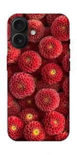 Чехол на Apple iPhone 16 Midnight1 фото 1 из 1