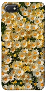 Чехол на Xiaomi Redmi 6A Camomile фото 1 из 1