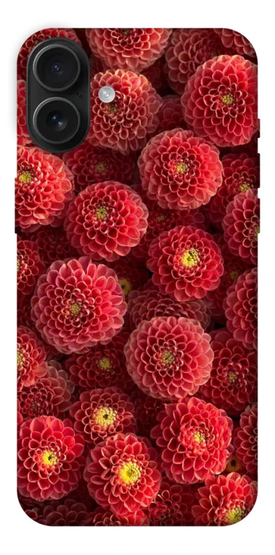 Чохол на Apple iPhone 16 Plus Midnight1 фото 1 з 1