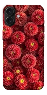 Чехол на Apple iPhone 16 Plus Midnight1 фото 1 из 1