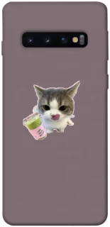 Чехол на Samsung Galaxy S10 cat matcha фото 1 из 1