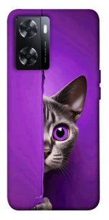 Чохол на OnePlus Nord N20 SE Кіт-підглядач фото 1 з 1
