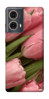 Чохол на Motorola Moto G85 Beauty фото 1 Чохол на Motorola Moto G85 Beauty фото 1 з 1