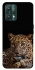 Чехол на Realme 9 Pro Leopard v4 фото 1 из 1