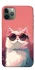 Чехол на Apple iPhone 11 Pro (5.8") Сat with glasses фото 1 из 1