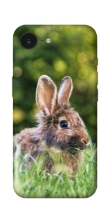 Чохол на Apple iPhone 17e (6.1") Кролики фото 1 з 1