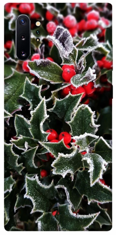 Чехол на Samsung Galaxy Note 10 Plus Новогодний v32 фото 1 из 1