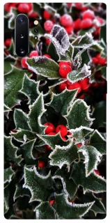 Чохол на Samsung Galaxy Note 10 Plus Новорічний v32 фото 1 з 1