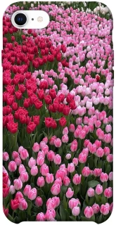 Чехол на Apple iPhone SE (2020) Flowers v9 фото 1 из 1