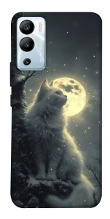 Чехол на Infinix Hot 12i Кот под луной фото 1 из 1