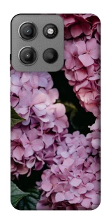 Чохол на Motorola Moto G15 Power Рожеві гартензії фото 1 з 1