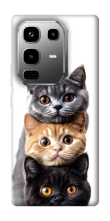 Чохол на Infinix Note 50 Pro Гарні котики фото 1 з 1