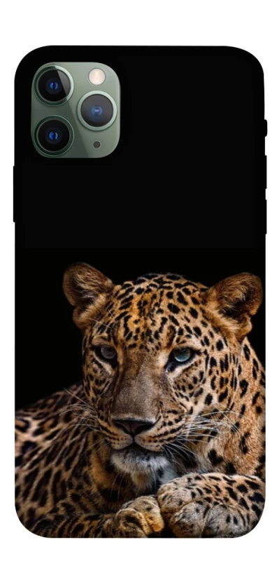 Чехол на Apple iPhone 11 Pro (5.8") Leopard v4 фото 1 из 1