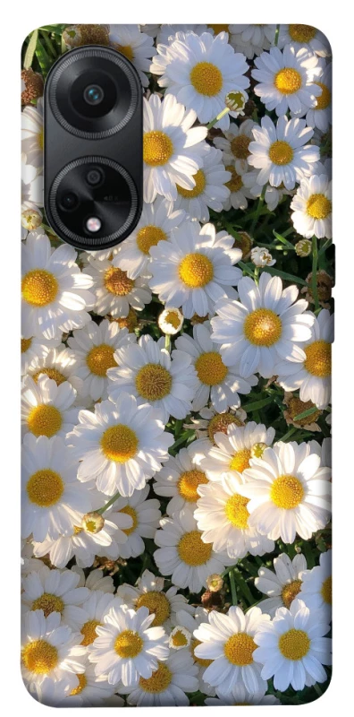 Чохол на Oppo A98 Поле ромашок фото 1 з 1
